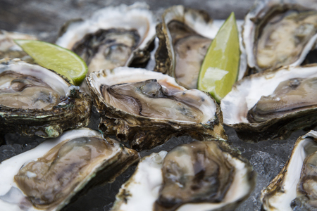 Tasty oysters on ice with lemon. Wood background.の写真素材