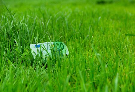 banknote at  meadow backgroundの写真素材