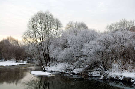 Winter landscape with hoarfrost trees