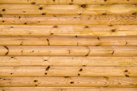 background pattern of natural pine balk wallの写真素材