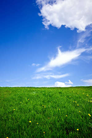 Green grass, the blue sky and white cloudsの写真素材