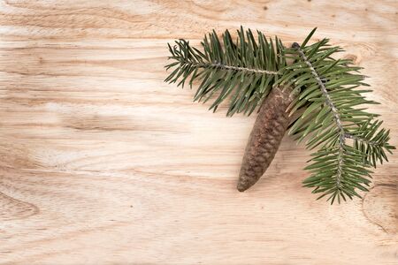 Christmas decoration pine branches and cone over wood backdrop