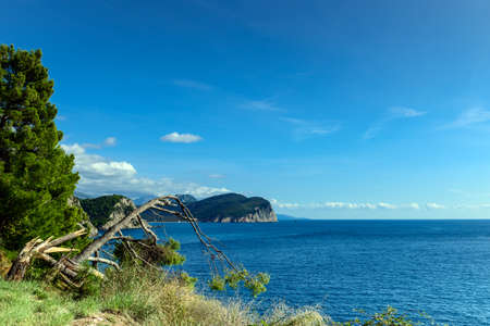 Panoramic landscape in Montenegro. Fantastic view of the Petrovac town bay. Balkans, Adriatic sea, Europeの写真素材