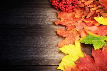 Fall leaves red yellow green on dark wooden table backgroundの写真素材