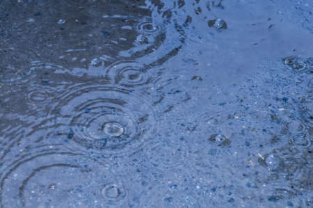 rain drops on the surface of water in a puddleの写真素材