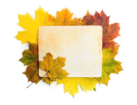 Old grunge paper page over fall leaves isolated on white. Clipping path