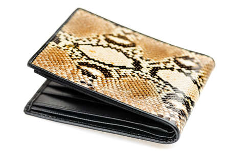 Snake skin leather wallet isolated on white