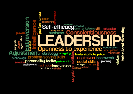 leadership Word Tag Cloud, shows words related to leadership and leader attribute pattern concept, vectorのイラスト素材