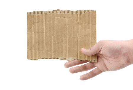 Female hand holding a piece of cardboard isolated on whiteの写真素材