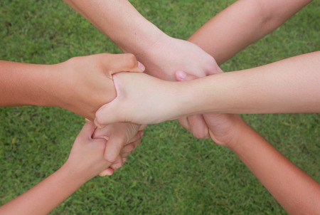 Multicultural hands, hands with green grass background.