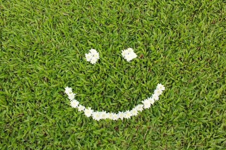 Smile made from daisy flowersの写真素材