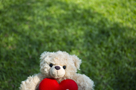 Cute teddy bear with red heart on green grass background, valentines day conceptの写真素材
