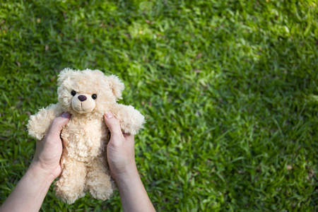 Teddy bear sitting on the glass with copy spaceの写真素材