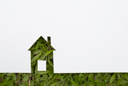 Green house concept. paper house on fresh grass land.の写真素材