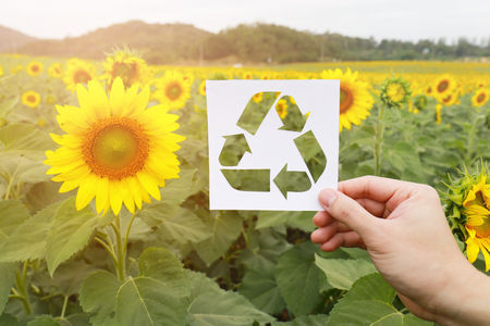 Sunflower Sky - Recycle Symbolの写真素材