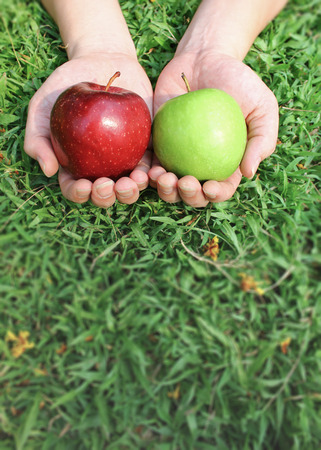 Hands holding red and green apples on green grass background with copy space, spring and summer time.の写真素材