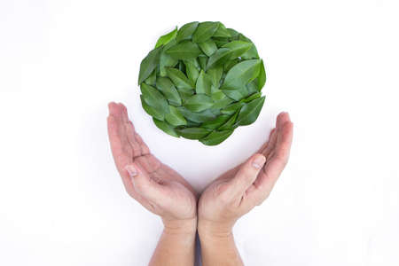 Environment concept, leaves in globe shape with hands isolated on white background.の写真素材