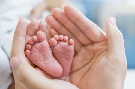 Motherâs hands holding newborn baby feet. Closeup feet of newborn baby. Healthcare and medical love lifestyle fatherâs day background conceptの写真素材