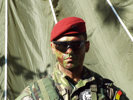 Exhibition of Romanian Army Day military equipment.のeditorial素材