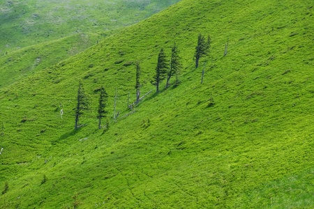 Finding freedom in the mountains. Ciucas Mountains in Romania.の写真素材