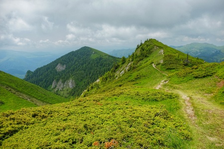 Finding freedom in the mountains. Ciucas Mountains in Romania.