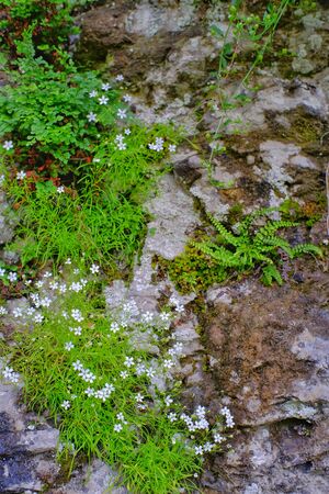 Karst landscape Sohodol Valleyの写真素材