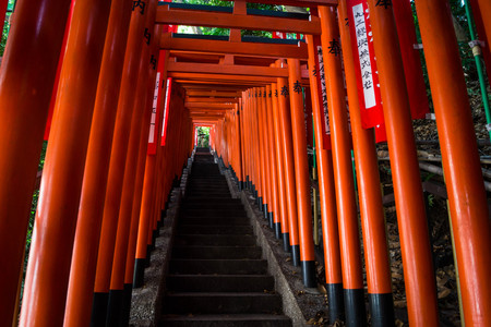 Looking up to Torii gatesのeditorial素材