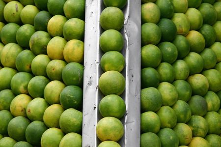 oranges lined up at juice shop, delhi, indiaの写真素材