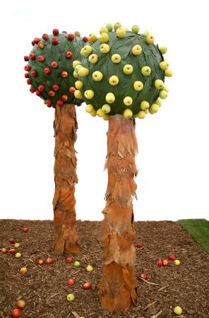 Artistic apple tree on display in flower show in Zagrebの写真素材