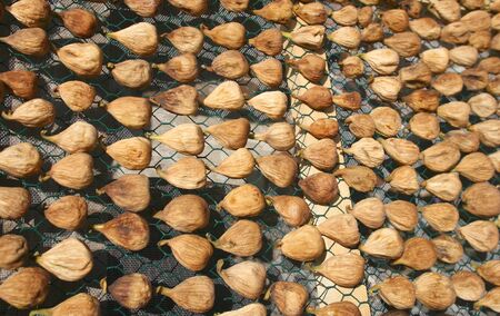 Organically grown sundried figs displayed to the sunの写真素材