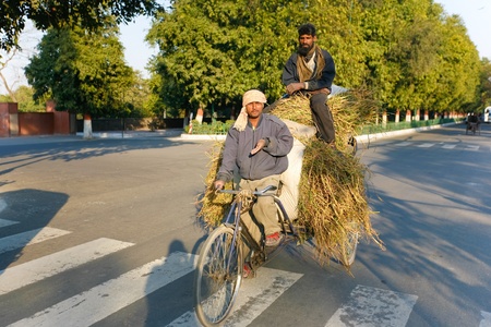 DELHI - FEBRUARY 12: Two men transporting grass using a rickshaw bicycle on February 12, 2008 in Delhi, India. Most Indians cannot afford motorised vehicles.のeditorial素材