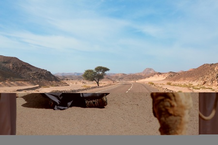 EGYPT - FEBRUARY 5: Guide waiting for tourists to arrive on February 5, 2011 in St Catherineのeditorial素材