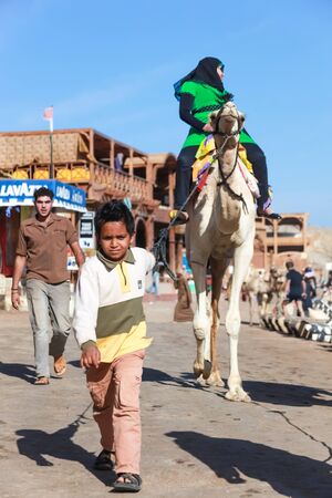DAHAB, EGYPT - JANUARY 30, 2011: Boy is leading a camel on the rope on January 30, 2011 in Dahab, Egypt. Local people rent camels to tourists and take them to sightseeing.のeditorial素材