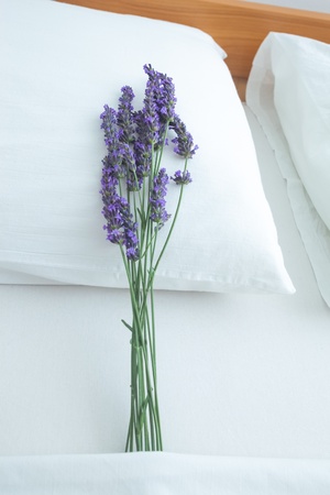Fresh lavender on bed pillow in bedroom interiorの写真素材
