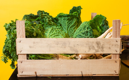 Wooden case with cabbage and parsley on a table against a yellow wall.の写真素材