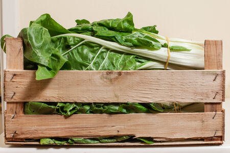 Wooden case with swiss chard.の写真素材