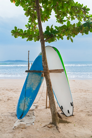Two surf boards on sandy Weligama beach in Sri Lanka.の写真素材