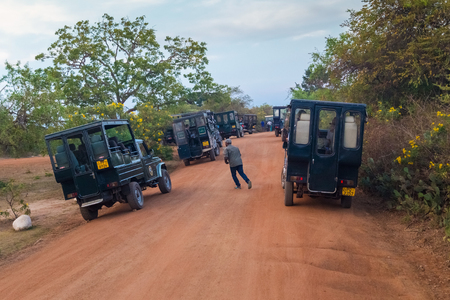 YALA NATIONAL PARK, SRI LANKA - MARCH 4, 2014: Safari jeep tour in the Yala park. Yala is the second largest national park in Sri Lanka.のeditorial素材