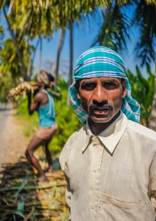 HAMPI, INDIA - 28 JANUARY 2015: Portrait of Indian worker with second worker loading sugarcane on truckのeditorial素材