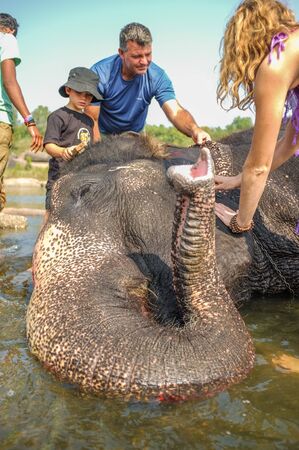 HAMPI, INDIA - 28 JANUARY 2015: Morning ritual of bathing Lakshmi the temple elephant of Virupaksha Temple with touristsのeditorial素材