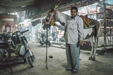 JODHPUR, INDIA - 07 FEBRUARY 2015: Horse used in bride-grooms wedding procession decorated in traditional Indian style stands with trainer in street. Post-processed with added grain and texture.のeditorial素材