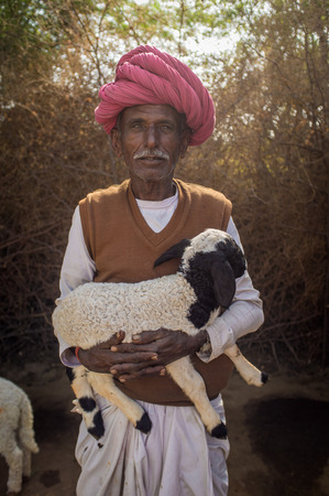GODWAR REGION, INDIA - 13 FEBRUARY 2015: Elderly Rabari tribesman holds lamb in outdoor stable. Rabari or Rewari are an Indian community in the state of Gujarat.のeditorial素材