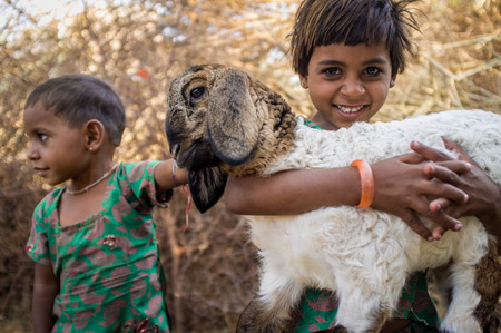 GODWAR REGION, INDIA - 13 FEBRUARY 2015: Two little Rabari girls in stable with small lamb. Rabari or Rewari are an Indian community in the state of Gujarat.のeditorial素材