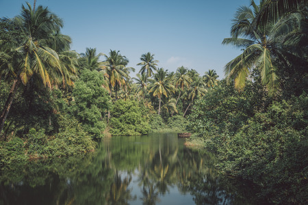 GOA, INDIA - 24 JANUARY 2015: Beautiful palm tree forest next to river. Post-processed with grain,...