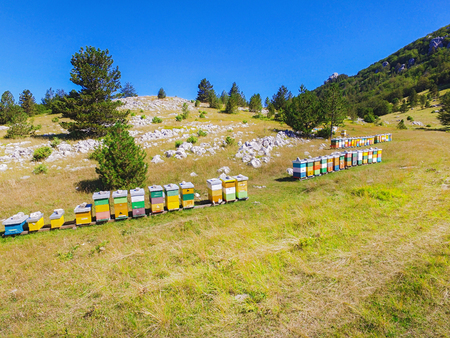 Bee hives on hills of Dinara mountain, Croatia.のeditorial素材