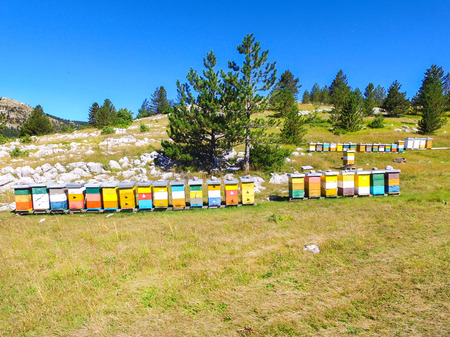 Bee hives on hills of Dinara mountain, Croatia.のeditorial素材
