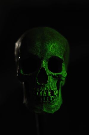 A Portrait of a Model of a Human Skullの写真素材