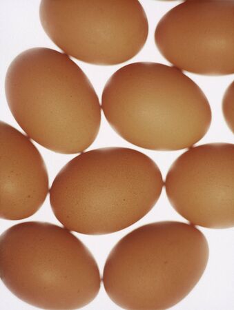 Eggs on Lightbox from above