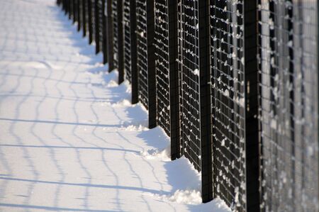 Black metal fence in the snowの写真素材