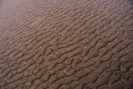 Sand on the beach under water, current forming ripples in the sand.の写真素材